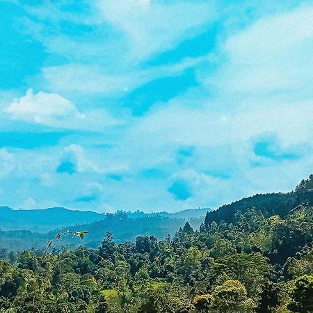 Ella Zenith View Hotel Luaran gambar