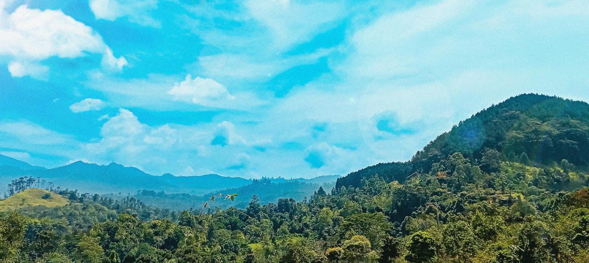 Ella Zenith View Hotel Luaran gambar