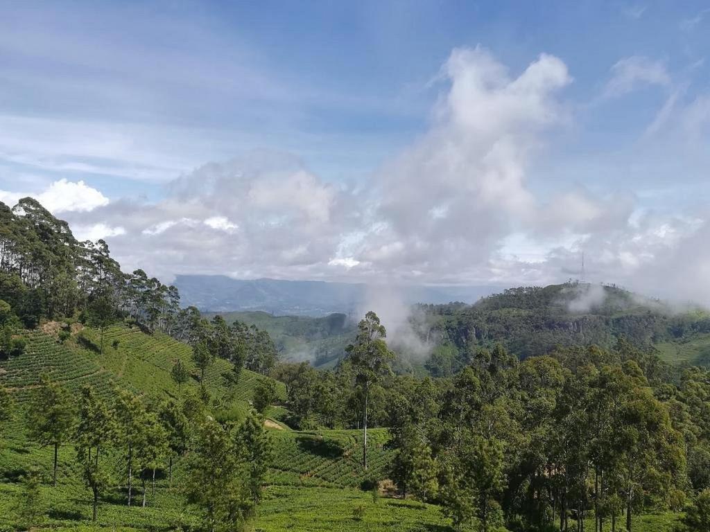 Ella Zenith View Hotel Luaran gambar