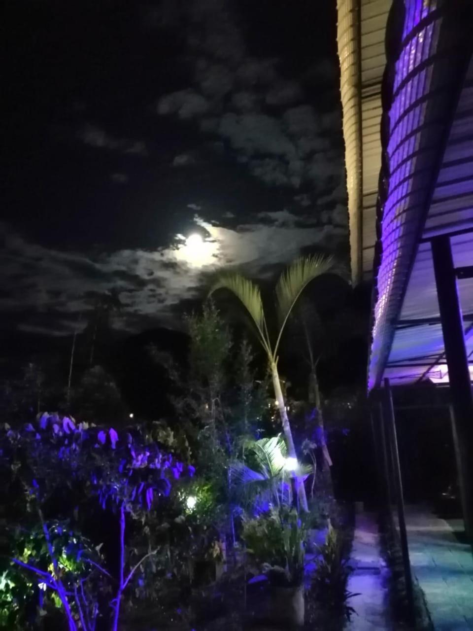Ella Zenith View Hotel Luaran gambar